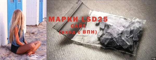 шишки Апатиты