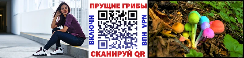 блэк спрут сайт  дарнет шоп  это телеграм  Псилоцибиновые грибы мицелий  Шиханы 