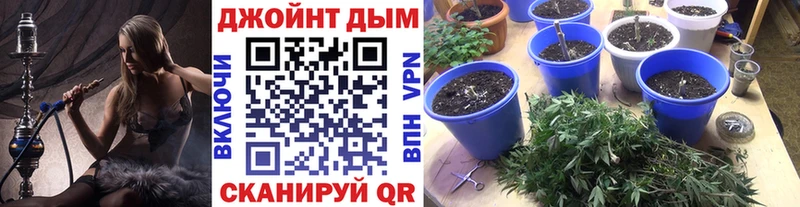 Бошки марихуана конопля  Шиханы 